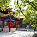 叶文慧