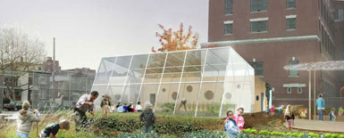 WORK建筑公司设计纽约布鲁克林“食物校园”2