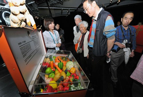  游客在世博园“伦敦零碳馆”观看环保水果、蔬菜模型（6月4日摄）。