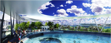 美国迈阿密将建艺术博物馆和科学博物馆4