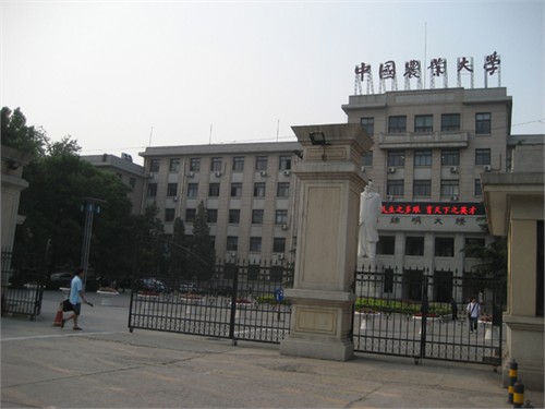 中国农业大学张贴海报现场图片1