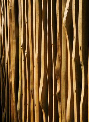 以草为盖水为庐 超级绿色环保式住房设计6