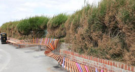Studio Weave设计英国最长的海滨长凳3