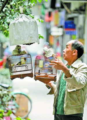 福地巷内，街坊正在悠闲地遛鸟