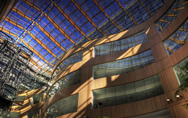 D' Ambrosio在加拿大维多利亚设计“中庭”办公楼3