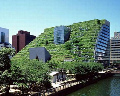 水畔的日本福冈绿屋顶