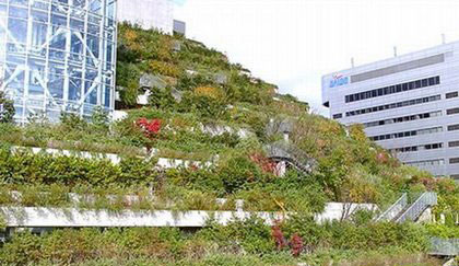 绿屋顶上生长着35,000棵植物