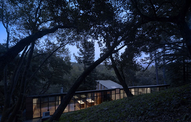 Ogrydziak事务所在美国加州设计林中屋1