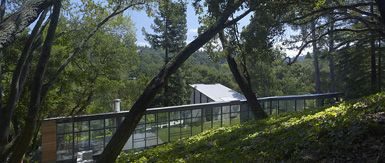 Ogrydziak事务所在美国加州设计林中屋2