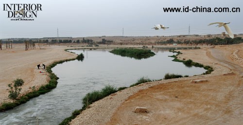 沙特阿拉伯利雅得瓦地哈尼发湿地工程2