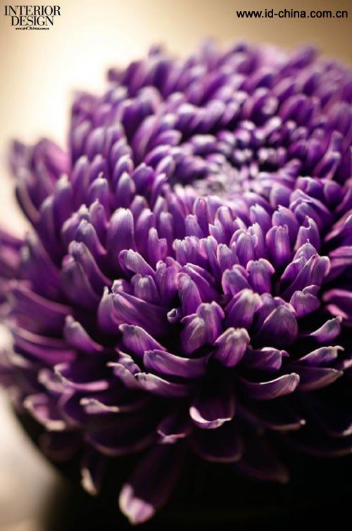 香格里拉台北远东国际大饭店香宫-13